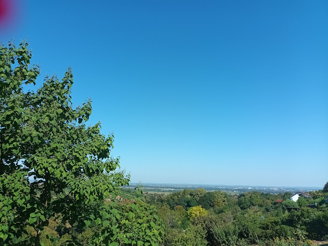 Caffe bar Črleni Lajbek - Križanec