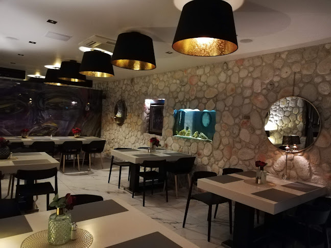 Comentarii opinii despre Ivo