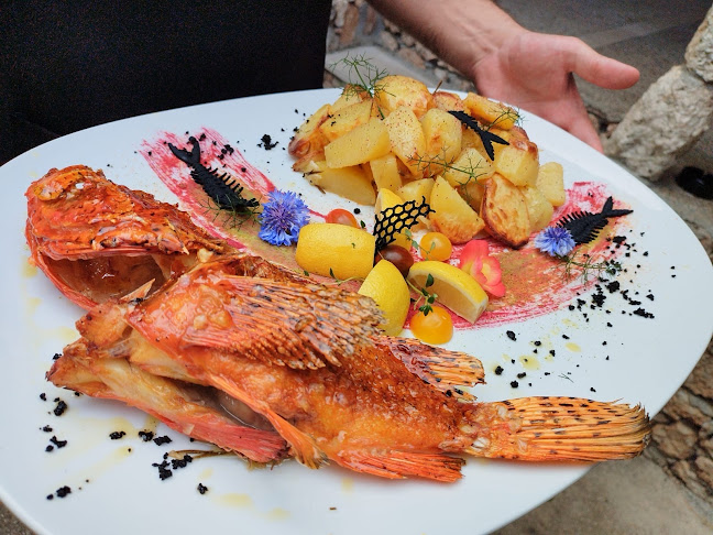 Comentarii opinii despre Mali Raj