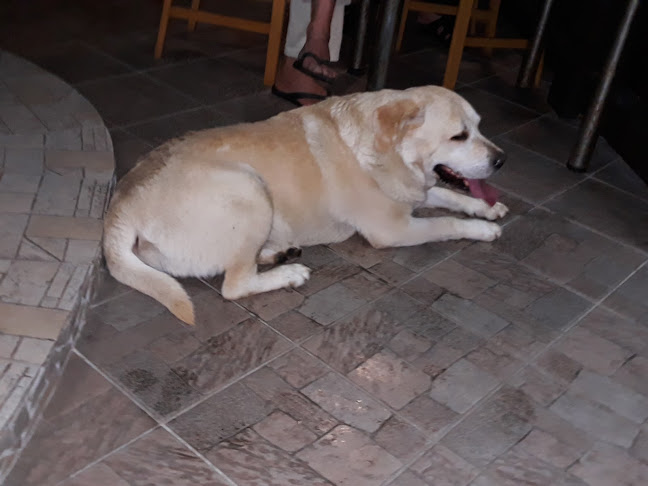 Caffe bar "Kod Mate"