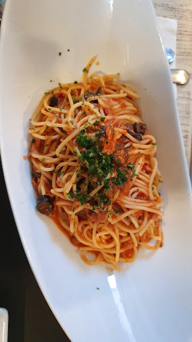 Comentarii opinii despre Segutra