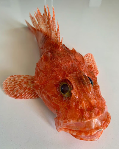 Comentarii opinii despre Triton Restaurant