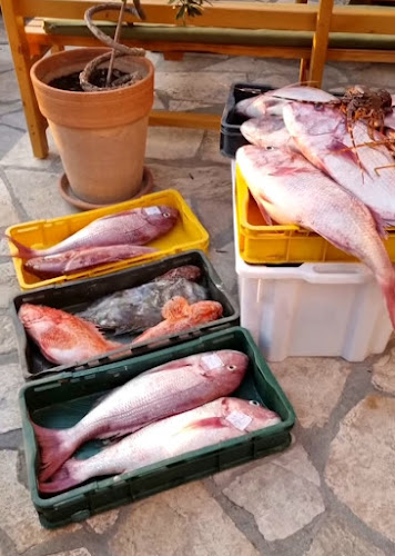 Comentarii opinii despre Konoba Galinac