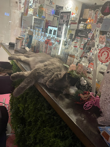 Ul. Dragojla Kušlana 6, 10000, Zagreb