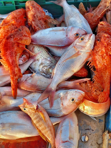 Opinii despre Restoran Nautika în Vela Luka - Gastronomija i ugostiteljstvo