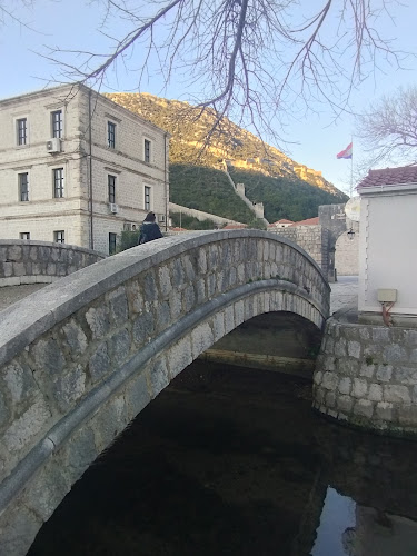 Opinii despre Konoba Bakus în Ston - Gastronomija i ugostiteljstvo