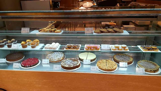 Svilajska ul. 31a, 31000, Osijek