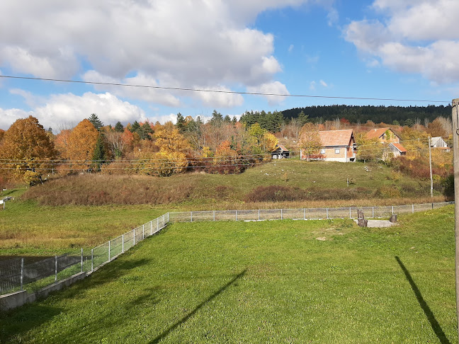 Lovačka Krčma Alan - Saborsko