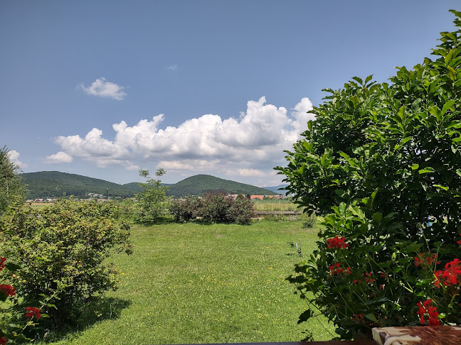 Restoran i smještaj Bumerang - Gastronomija i ugostiteljstvo