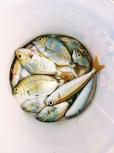 Caffe Bar A-Grinta - Postira