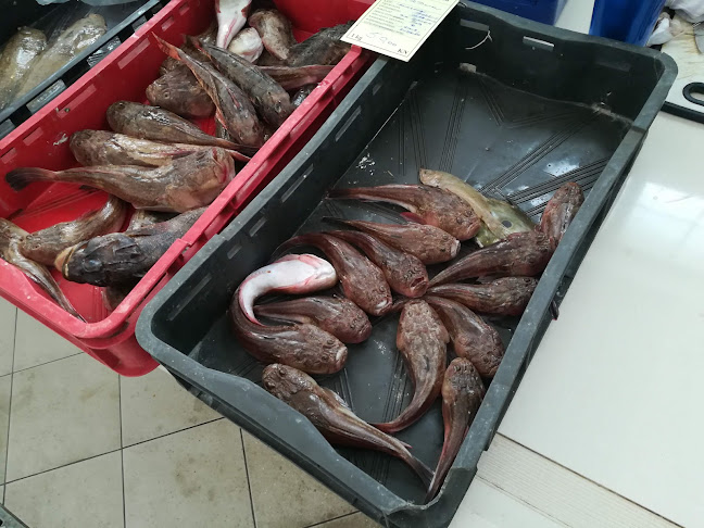 Obala 33, 51521, Punat