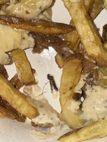 Ul. Andrije Žaje 51, 10000, Zagreb