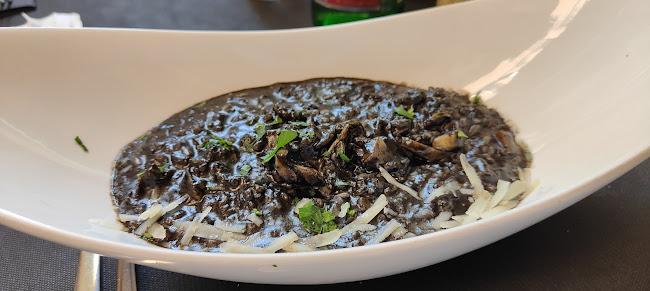 Comentarii opinii despre Segutra