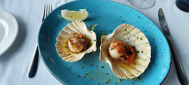 Bistro Yacht club - Gastronomija i ugostiteljstvo