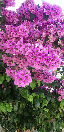 Comentarii opinii despre Apartments Adelheid, Biograd