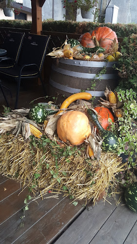 Maznica ul., 10310, Ivanić-Grad