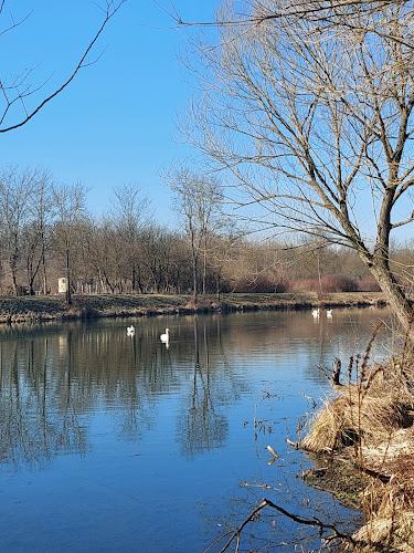 Comentarii opinii despre Izletište i restoran "Odranski ribič"