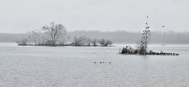 Caffe bar & bistro Marina - Gastronomija i ugostiteljstvo