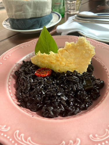 Comentarii opinii despre Bronzin