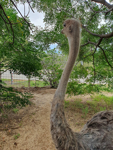 D27 19, 23450, Zaton Obrovački