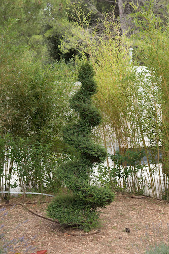 "D´Ante" - Seget Vranjica