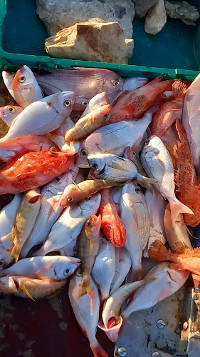 Obala 3 4, 20270, Vela Luka