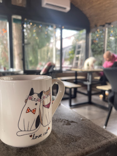 Cat Caffe Zagreb - Gastronomija i ugostiteljstvo