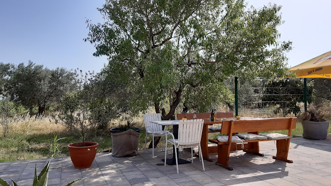 Cesta za Rovinjsko selo 13, 52210, Rovinj