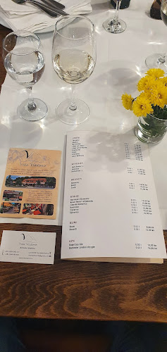 Villa Vladimir - Gastronomija i ugostiteljstvo