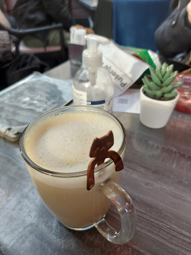 Cat Caffe Zagreb - Zagreb