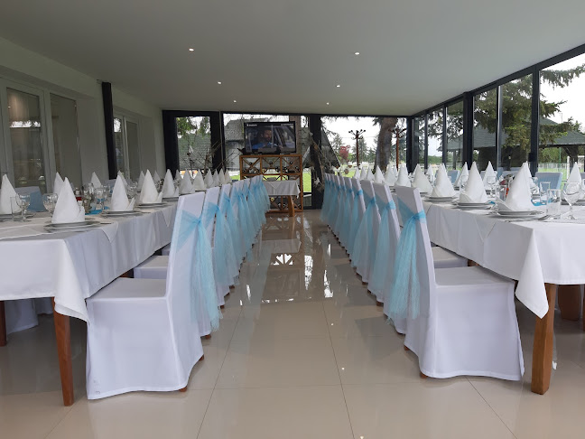 31309, Kneževi Vinogradi