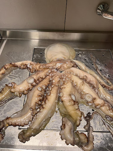 Comentarii opinii despre Pizzeria Marmont