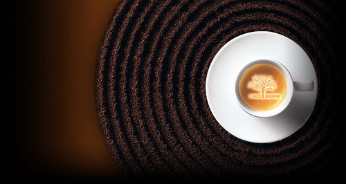 Trg bana Josipa Jelačića 11, 34550, Pakrac