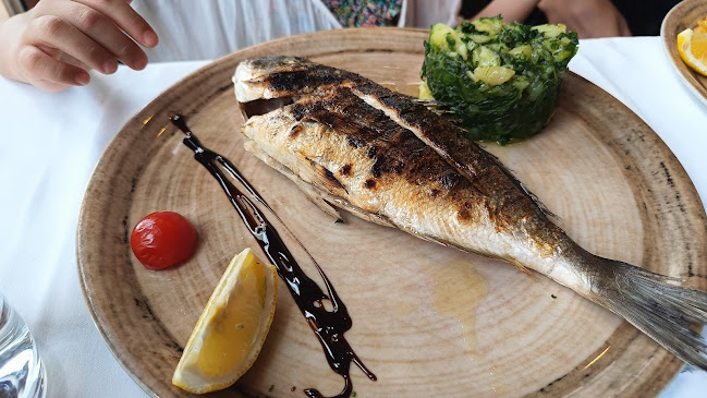 Comentarii opinii despre Lungomare