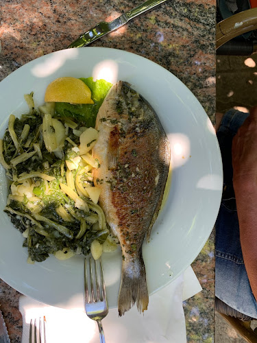 Restoran Anita - Gastronomija i ugostiteljstvo