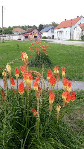 caffe bar "KIKI" - Gastronomija i ugostiteljstvo