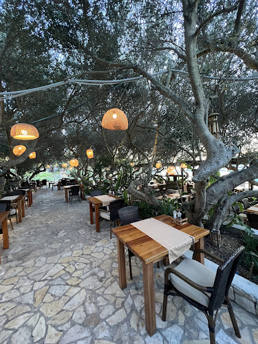 Comentarii opinii despre Bacchus