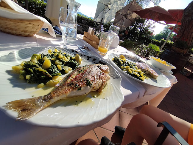 Comentarii opinii despre Lungo mare