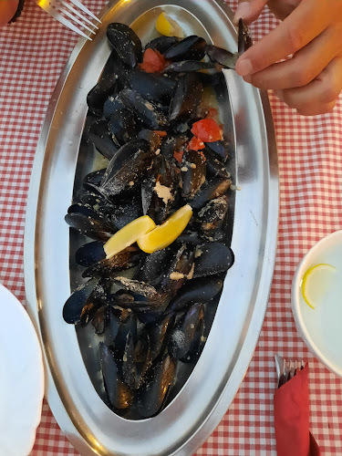 Comentarii opinii despre Terra Istriana