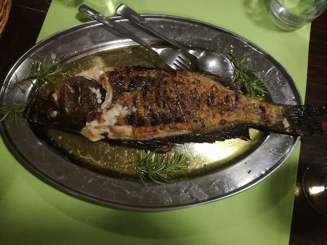 Broce 11, 20230, Broce