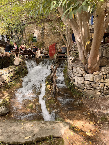 Opinii despre Seosko Domacinstvo Kristijan în Bogatić - Gastronomija i ugostiteljstvo