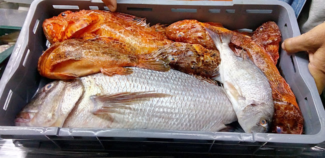 Restaurant Bago - Milna