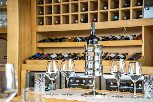 Comentarii opinii despre Restaurant & Wine Bar Palcich