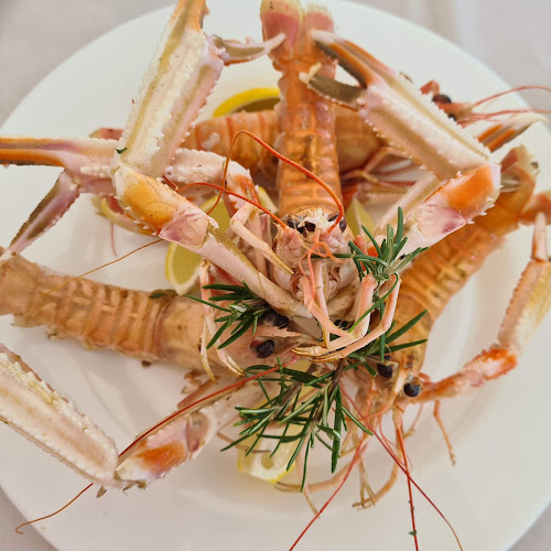 Comentarii opinii despre Bussola ACI Marina Ičići