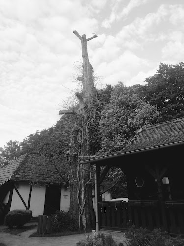 Gornje Vine 142, 48260, Križevci