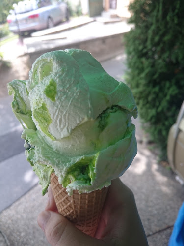 Comentarii opinii despre Nympha