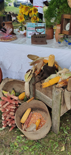 Comentarii opinii despre Salaš Tena