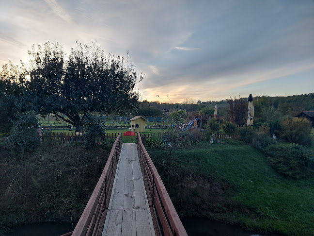 Ul. kralja Tomislava 142, 31500, Našice