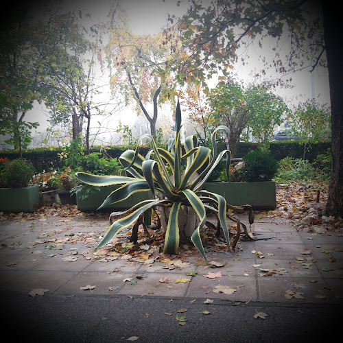 Ul. Hrvatskog Sokola 59, 10000, Zagreb