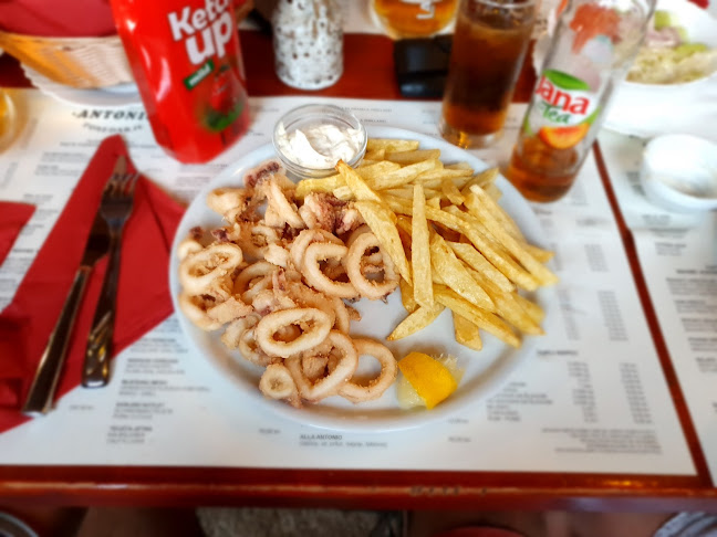 Comentarii opinii despre Restaurant Antonio